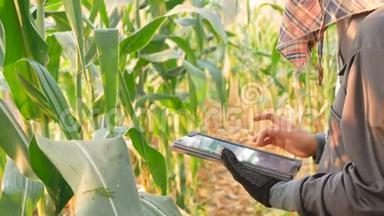 农民带来技术帮助农业